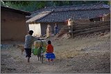 08_Harvesting_rice_and_vegetables_Dec22_01