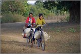 08_Harvesting_rice_and_vegetables_Dec22_02