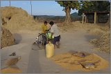 08_Harvesting_rice_and_vegetables_Dec22_10