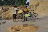 08_Harvesting_rice_and_vegetables_Dec22_11