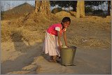 08_Harvesting_rice_and_vegetables_Dec22_25