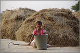 08_Harvesting_rice_and_vegetables_Dec22_27