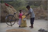 08_Harvesting_rice_and_vegetables_Dec22_28