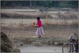 08_Harvesting_rice_and_vegetables_Dec22_32