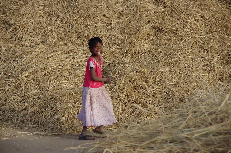 08_Harvesting_rice_and_vegetables_Dec22_12