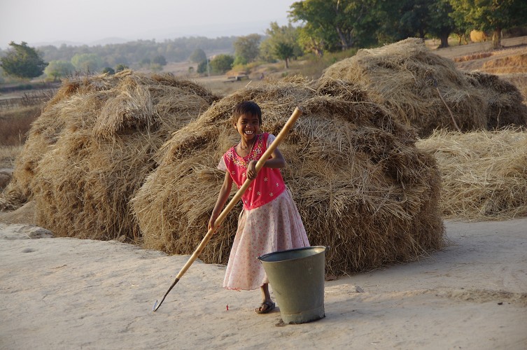 08_Harvesting_rice_and_vegetables_Dec22_26