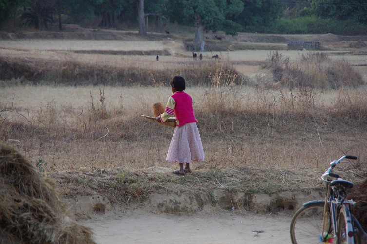 08_Harvesting_rice_and_vegetables_Dec22_32