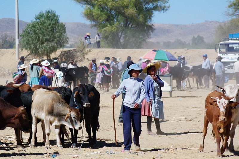 08_Cochabamba_and_surroundings_10