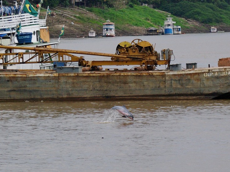 14_PortoVelho_to_Manaus_on_Rio_Madeira_10