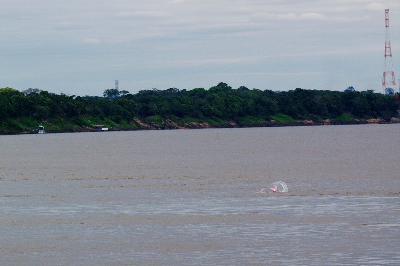 14_PortoVelho_to_Manaus_on_Rio_Madeira_11