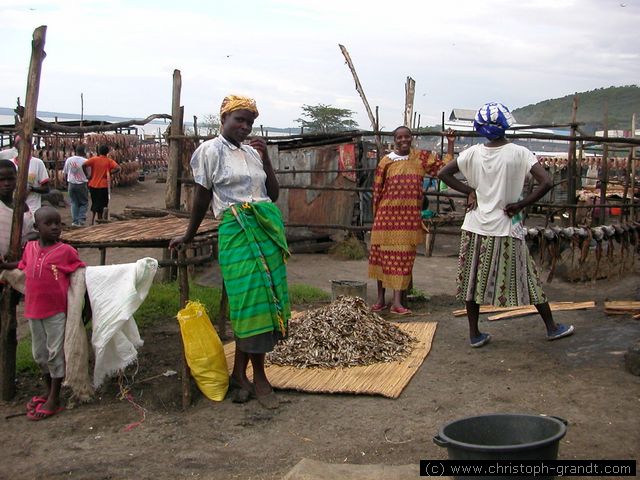 Women working at a fish cooperative, Mbita