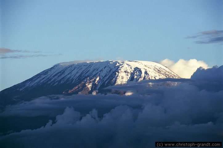 Kilimanjaro