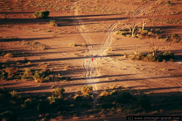 morning light, Amboseli National Park