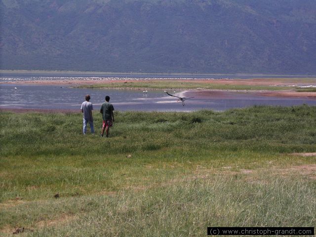 Lake Bogoria