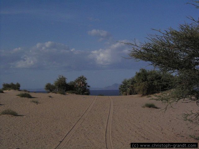 on the way from the village to Elye Springs beach