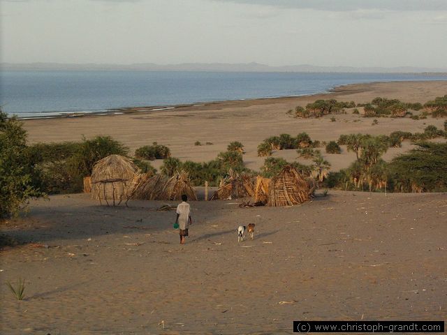 near Eliye Springs