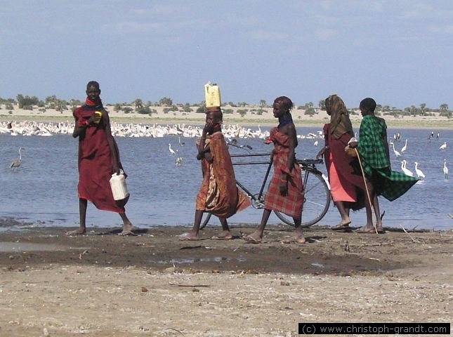 Turkana girls, near Kalokol