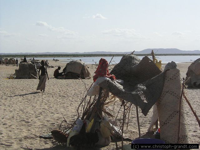 Turkana village near Kalokol 