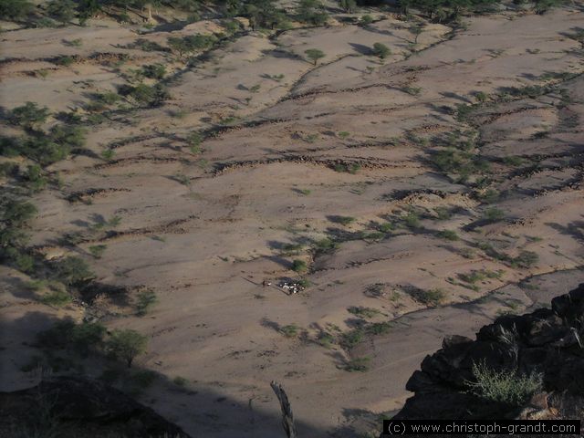 view down to a herd of goats