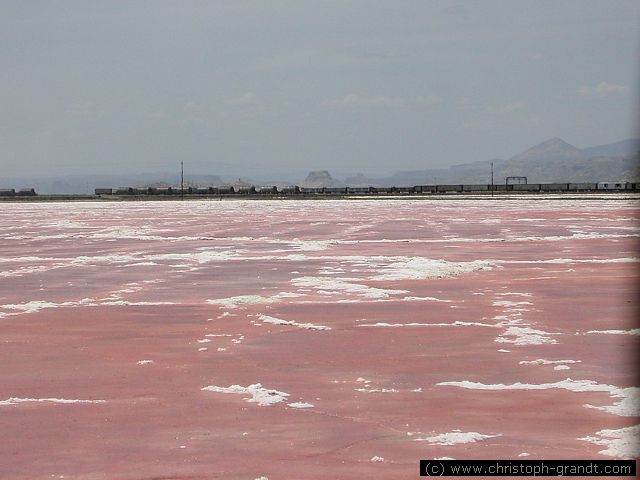 Lake Magadi with soda train in the background