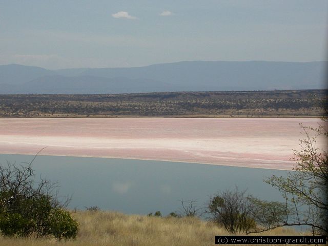 wonderful colours of Lake Magadi