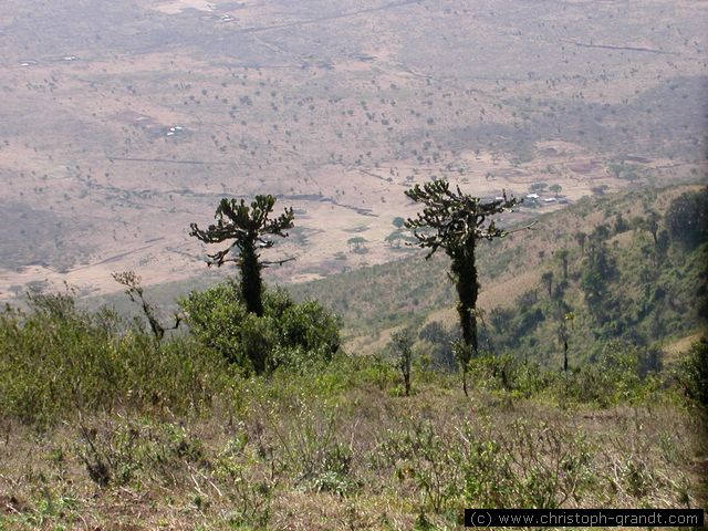 view to the Rift Valley from Ngong Hills