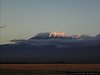 Kilimanjaro in evening sun