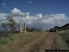 on the way to Turkana country, Lokori road