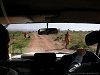 entrance to Masai Mara National Reserve