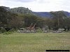 giraffes and zebras near Crater Lake