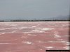 Lake Magadi with soda train in the background