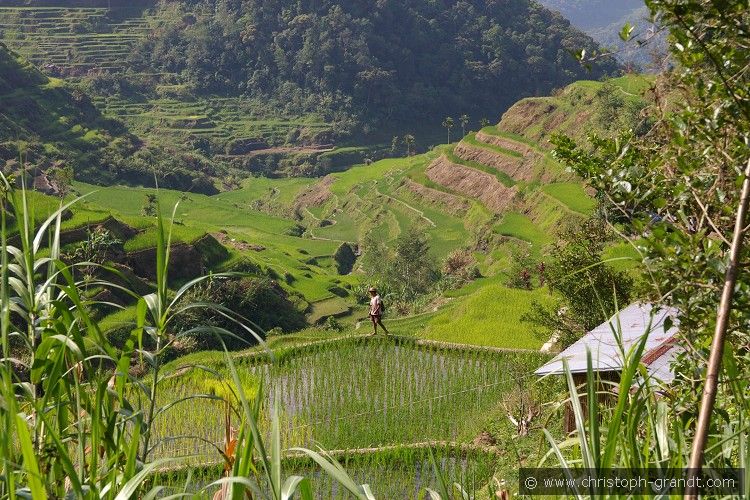 01_Banaue_06