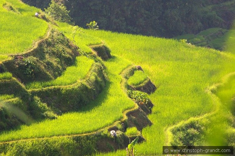 01_Banaue_07