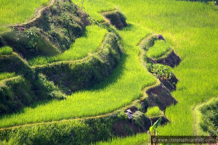 01_Banaue_08