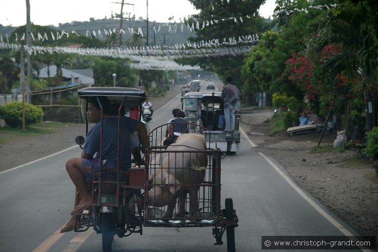 09_Lake_Taal_21