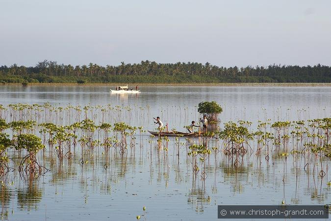 03_bohol_04b
