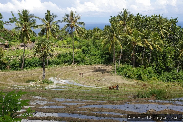 02_Timor_Baucau_23