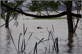 01_Rift_Valley-Lake_Baringo_Maralal_10