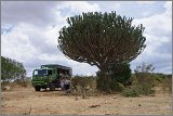 01_Rift_Valley-Lake_Baringo_Maralal_17