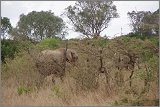 01_Rift_Valley-Lake_Baringo_Maralal_19