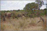 01_Rift_Valley-Lake_Baringo_Maralal_20