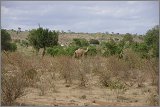 01_Rift_Valley-Lake_Baringo_Maralal_23