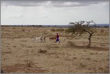 01_Rift_Valley-Lake_Baringo_Maralal_24