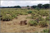 11_Kalacha-Marsabit_Samburu_Park-Nairobi_17