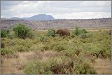 11_Kalacha-Marsabit_Samburu_Park-Nairobi_26