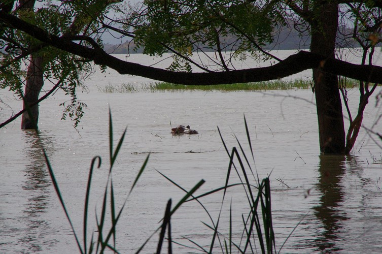 01_Rift_Valley-Lake_Baringo_Maralal_10