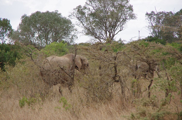 01_Rift_Valley-Lake_Baringo_Maralal_19