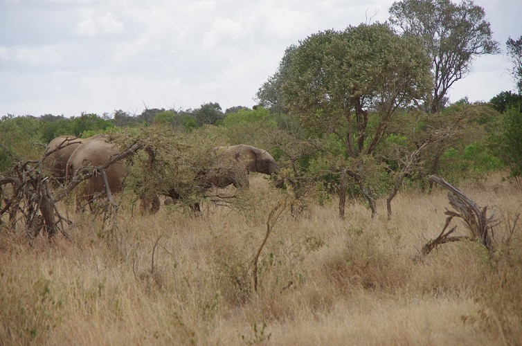 01_Rift_Valley-Lake_Baringo_Maralal_20