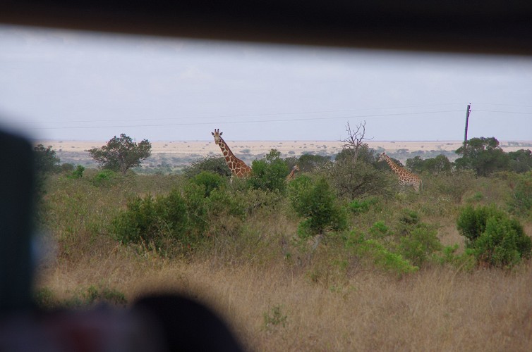 01_Rift_Valley-Lake_Baringo_Maralal_21