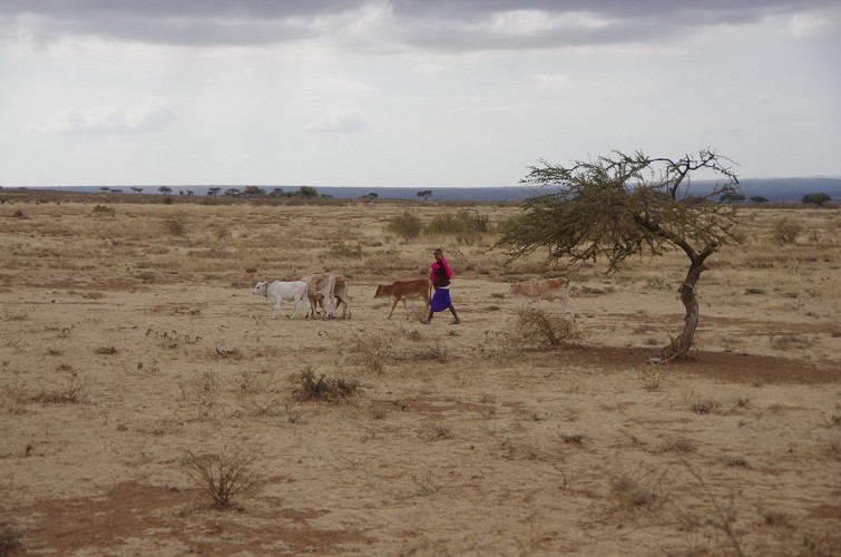 01_Rift_Valley-Lake_Baringo_Maralal_24